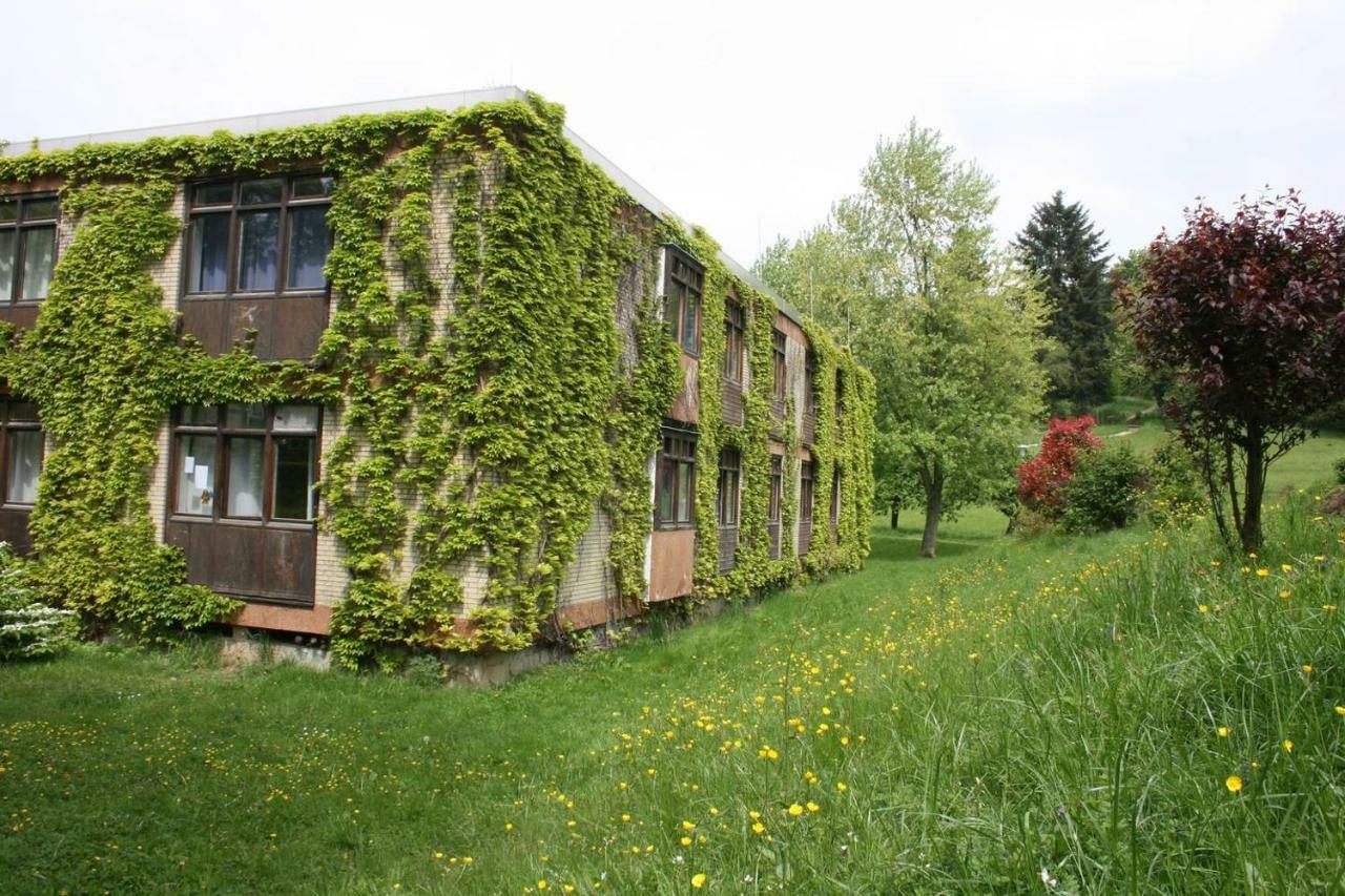 Apartment Bergblick - Odenwald Pur! *